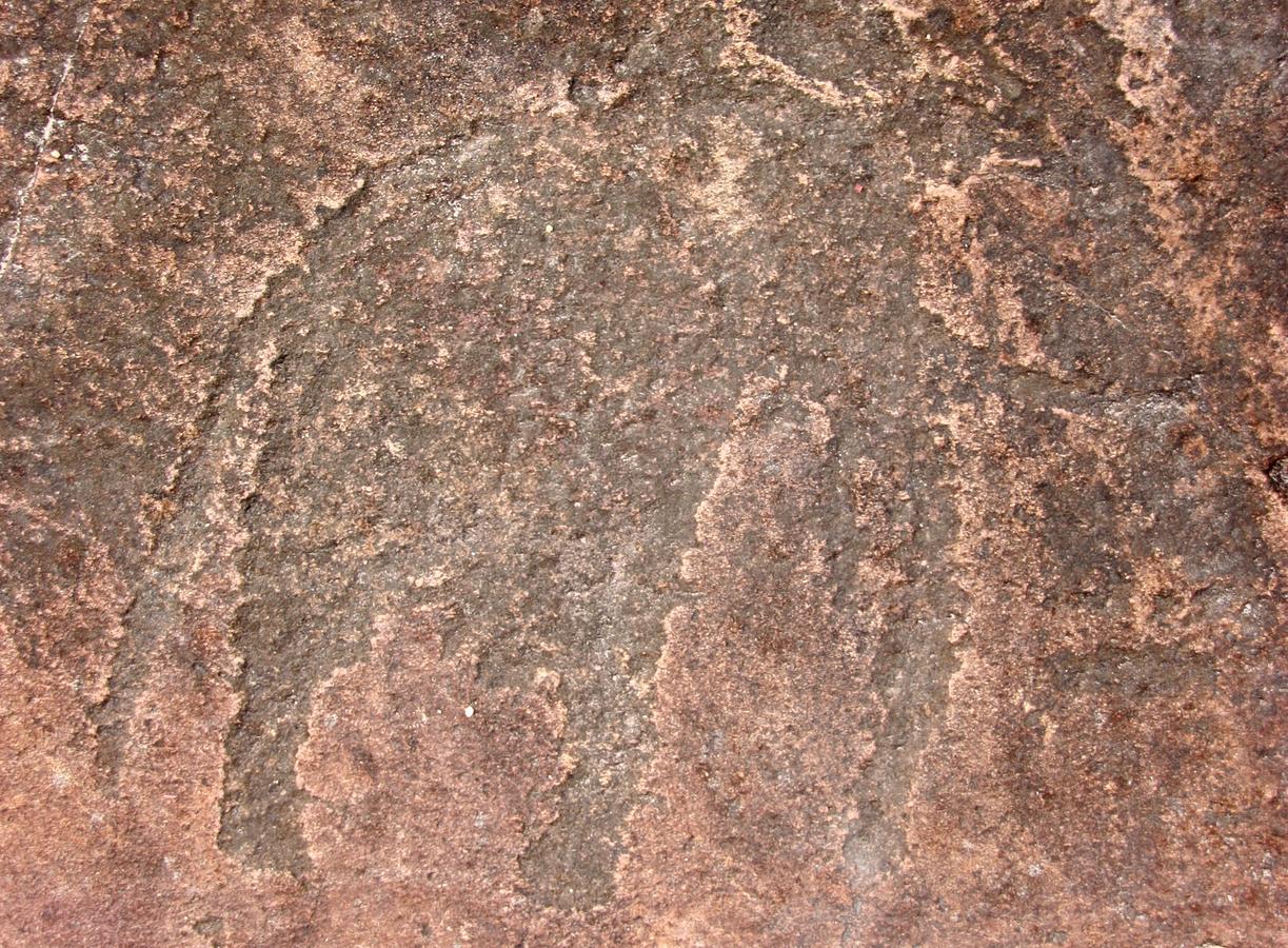 Ghaub Nature Reserve & Farm - One Namibia Grootfontein Exteriör bild