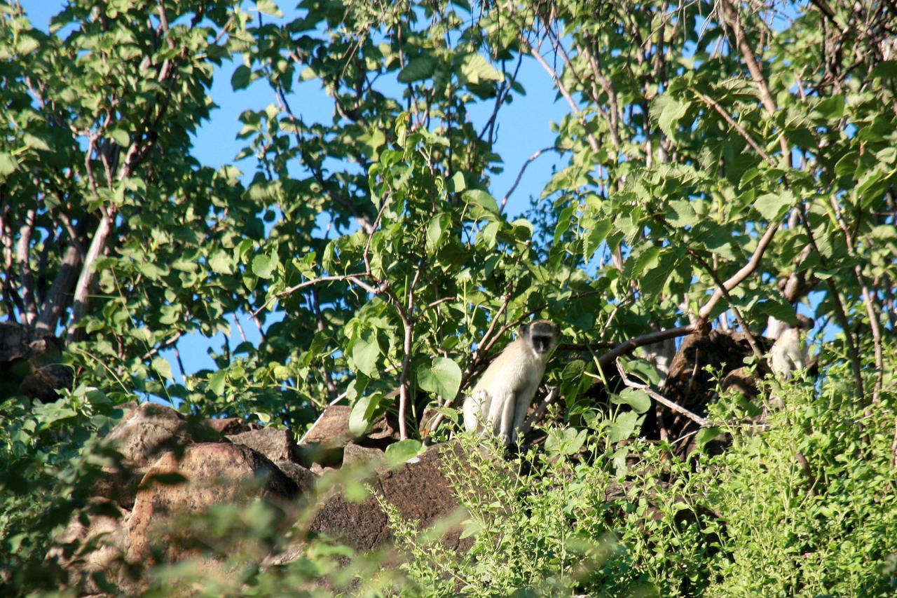 Ghaub Nature Reserve & Farm - One Namibia Grootfontein Exteriör bild