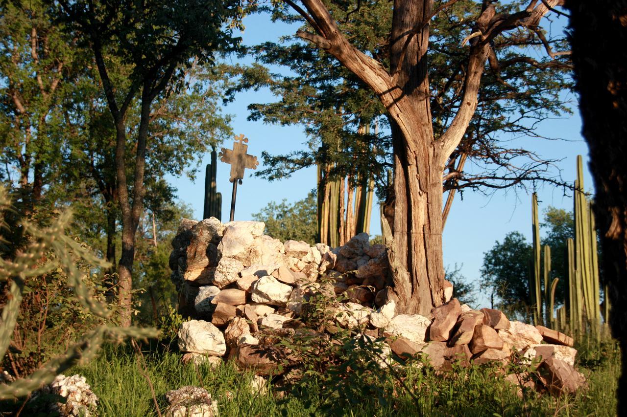 Ghaub Nature Reserve & Farm - One Namibia Grootfontein Exteriör bild